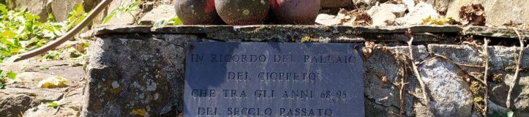 Inchiesta: Che fine ha fatto il Pallaio del Cioppeto?